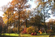 Arboretum Wespelaar (©Arboretum Wespelaar)