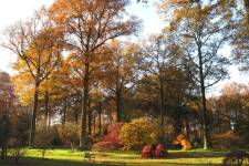 Arboretum Wespelaar (©Arboretum Wespelaar)