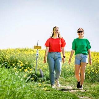 2 vriendinnen wandelen langs veld met gele zomerbloemen