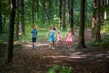 Kinderen spelen in het bos