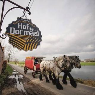 Koets met trekpaarden aan de brouwerij Hof ten Dormaal