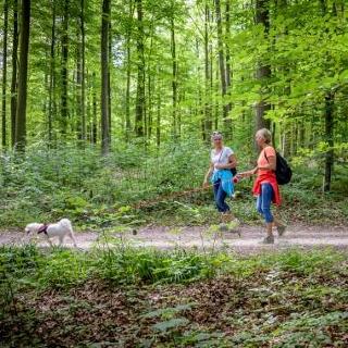 Wandelaars met hond in het bos