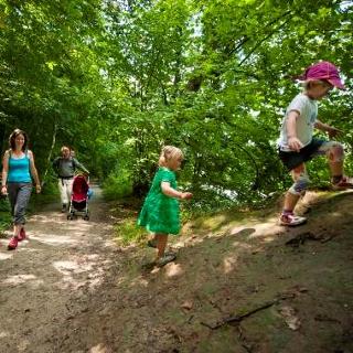 wandelaars met kinderen in het bos