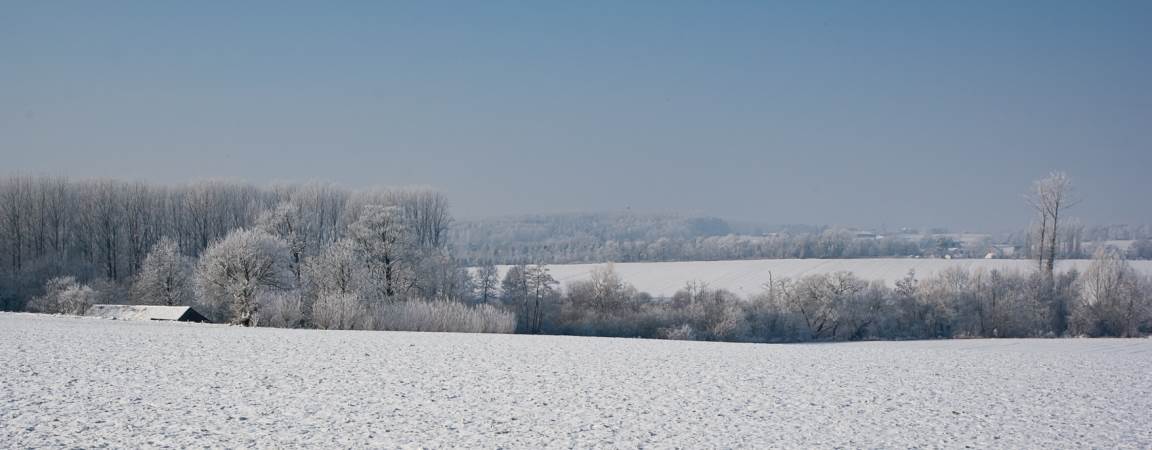 winters-wandelen-foto1-header