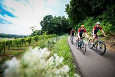 Fietsers langs wijngaarden op de Sven Nys Cycling Route