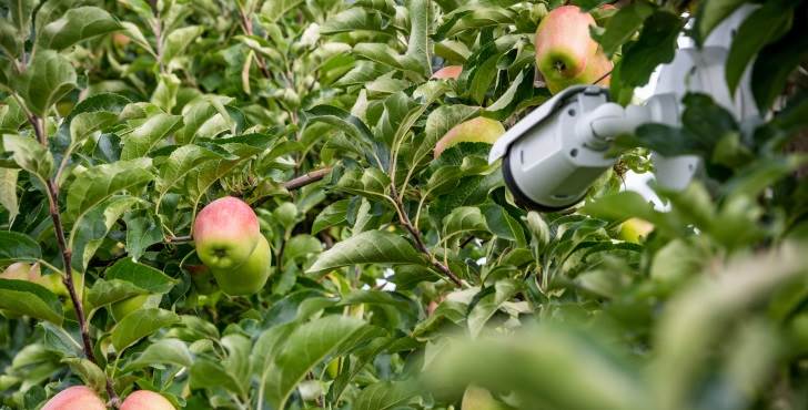 Camera gericht op appelboom
