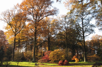 Arboretum Wespelaar - foto